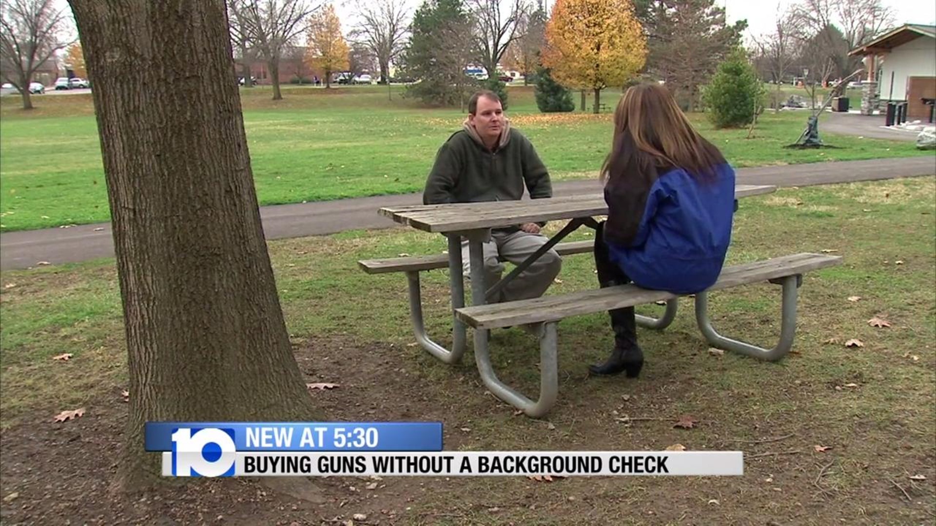 Buying Guns Without A Background Check