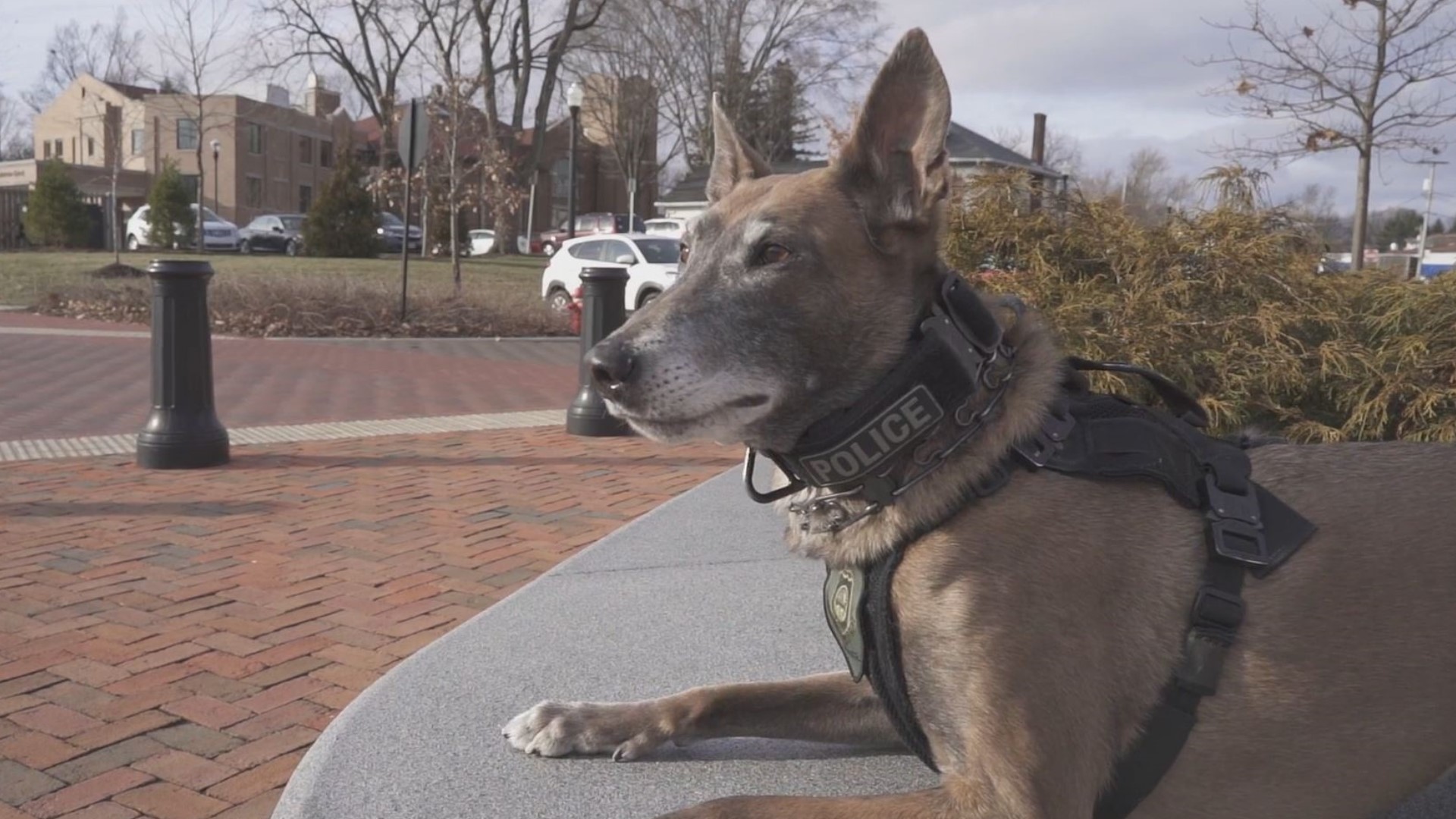 Westerville police said goodbye to a beloved former member of the K9 team on Tuesday.