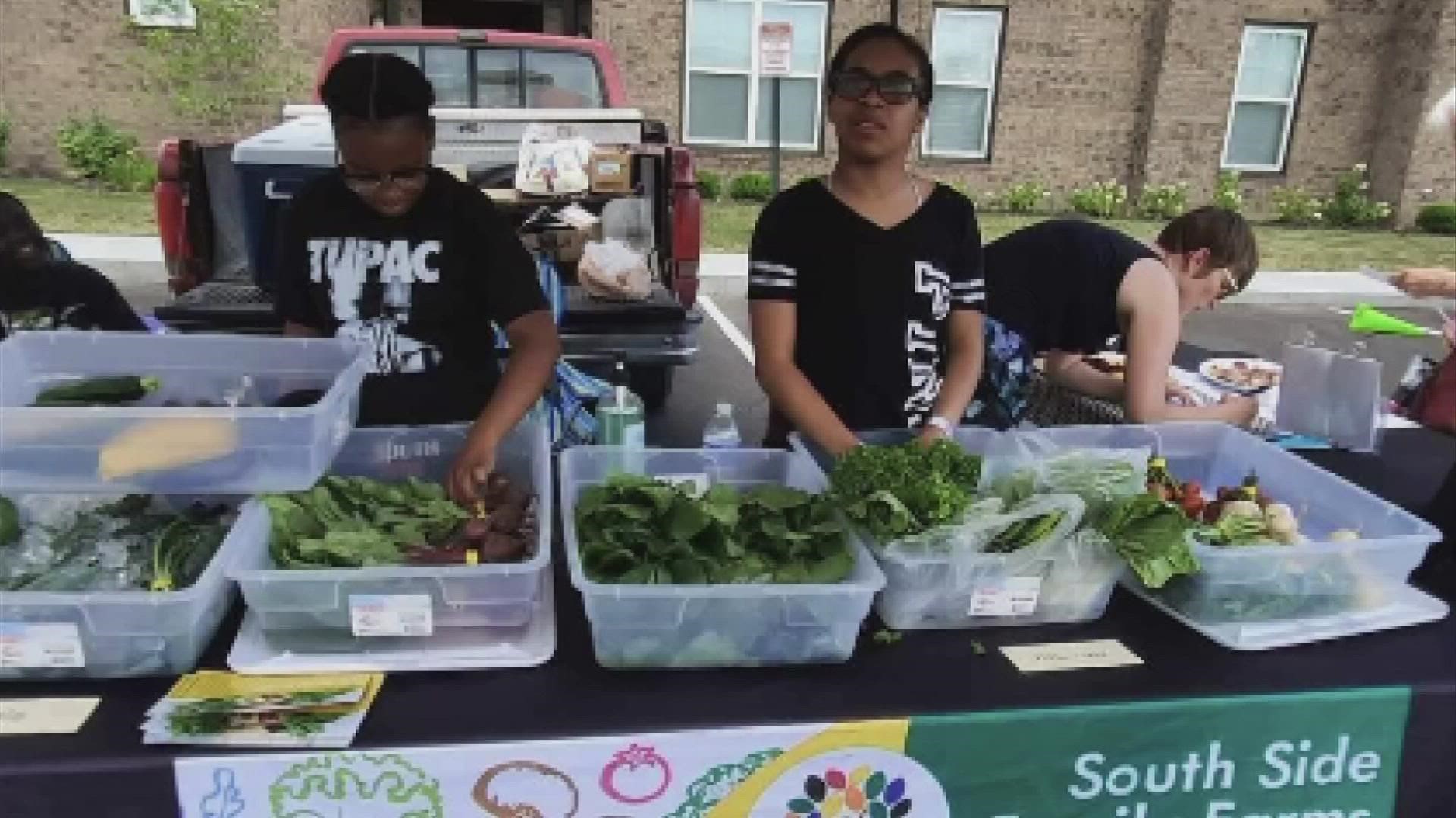South Side Family Farms is working hard to provide nutritious foods to the underserved.