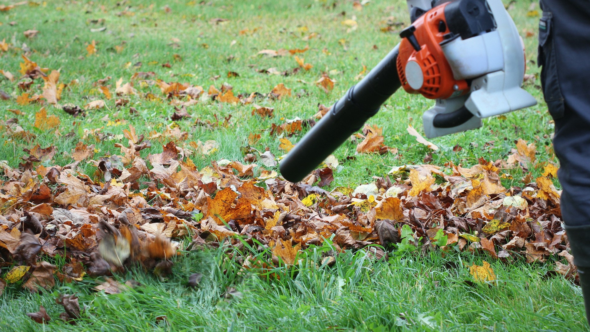 When you think of weather that could damage your car, you probably aren't thinking about the fall leaves. Meteorologist Michael Behrens explains why it may cost you!