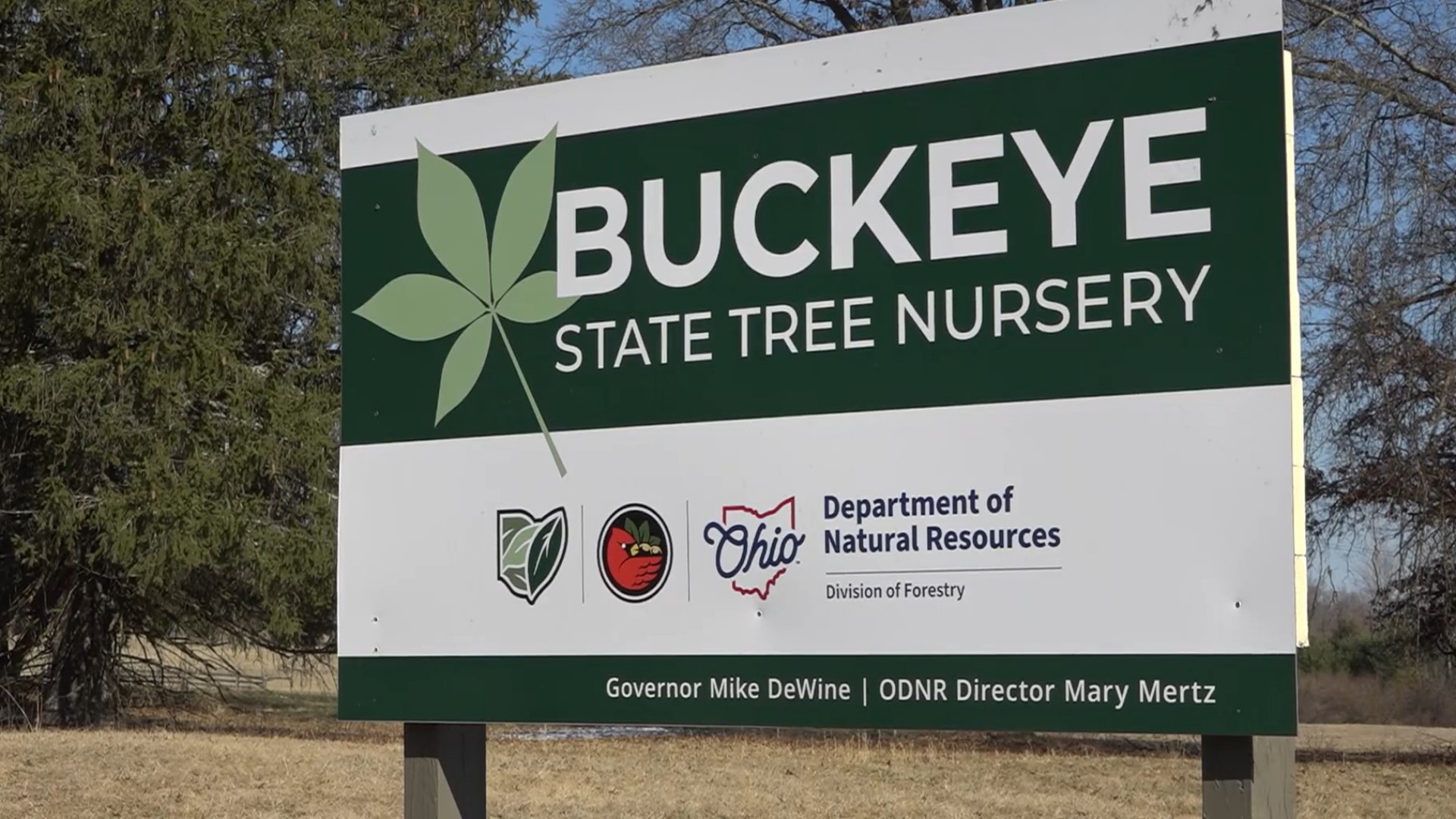 The first seeds were planted in the new Buckeye State Tree Nursery in Muskingum County on Monday.