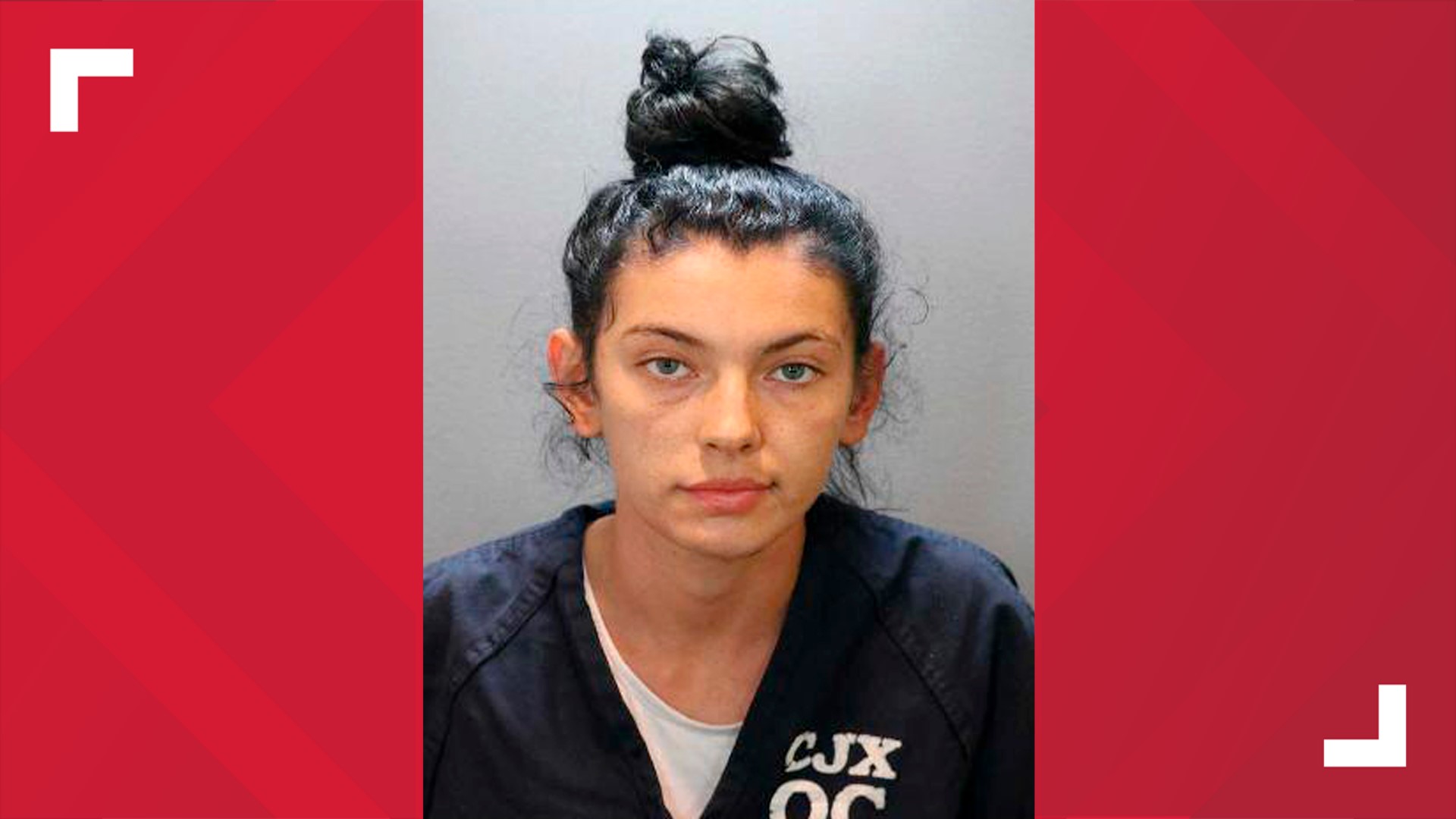 Woman in California charged with killing man over cat dispute | 10tv.com
