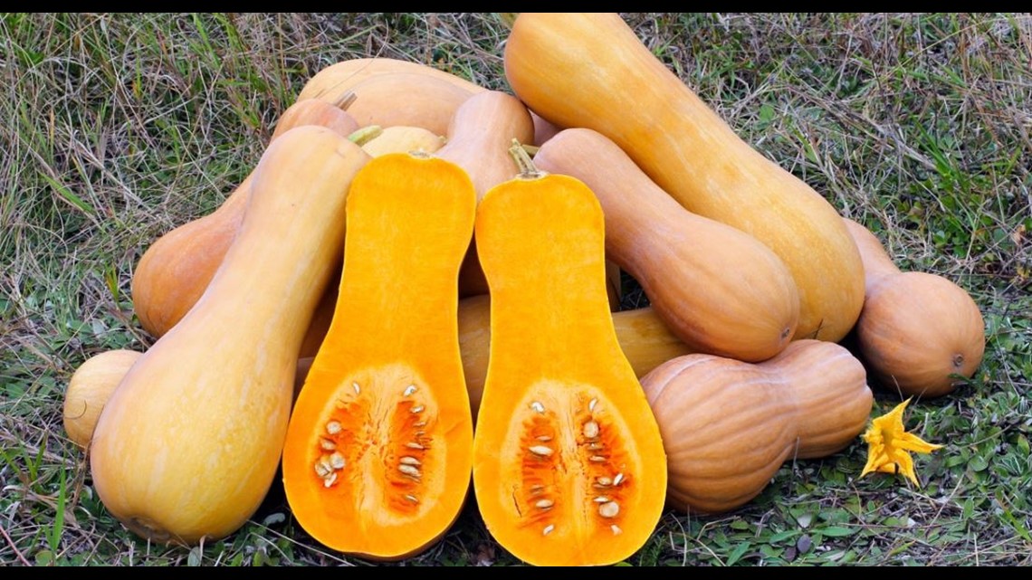 Poisoned by bitter squash, two women lose their hair