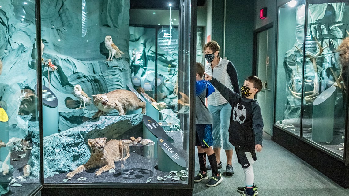 Ohio History Center hosting 'Wild Ohio Weekend' next week