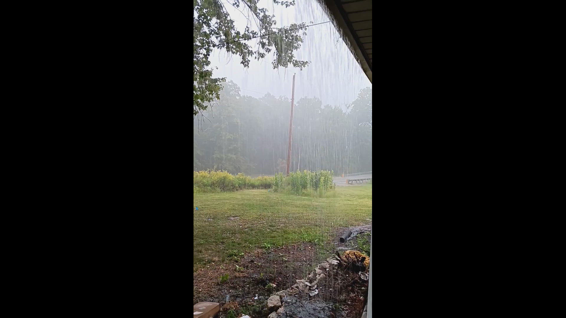 Heavy rain in rural Delaware County on 9/6/2024.
Credit: Deb Bergmann