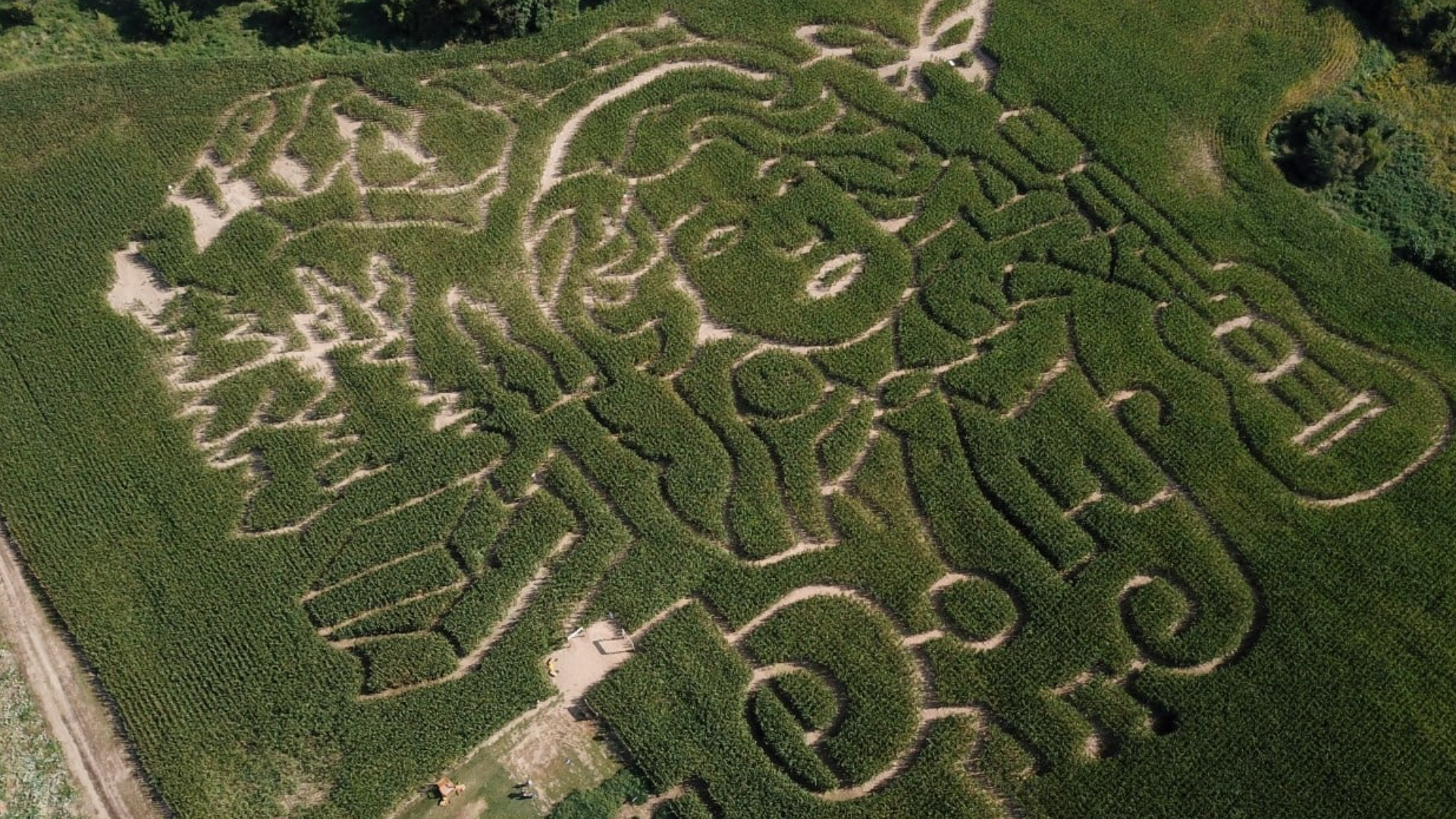 Check out this year’s Dolly Parton corn maze at Van Buren Acres. The farm is now open for all your pumpkin picking needs.