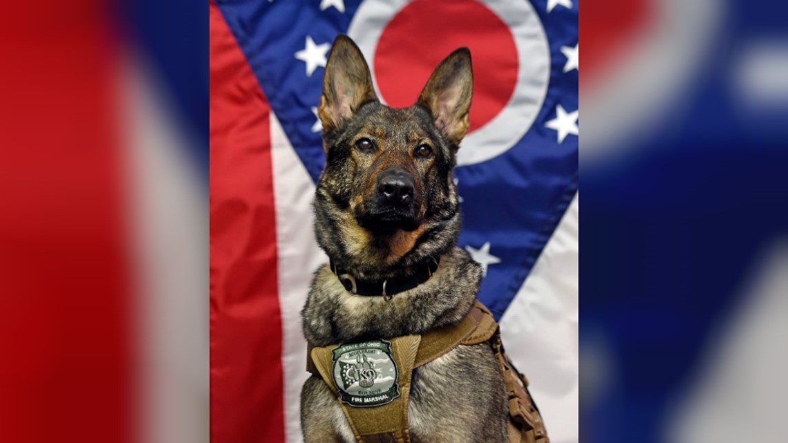 State Fire Marshal welcomes explosion detection K-9 with swearing-in ...