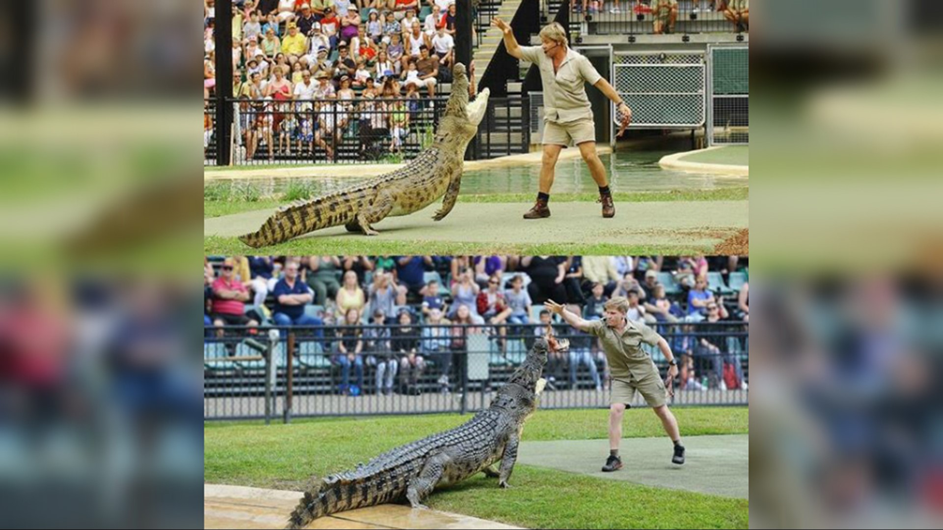 Robert Irwin shares photos of him and dad Steve Irwin feeding the same