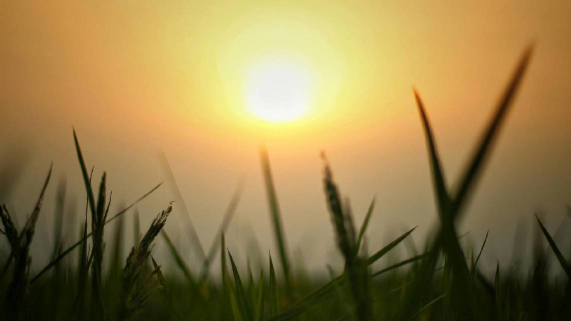 NOAA releases summer outlook: What it means for Ohio