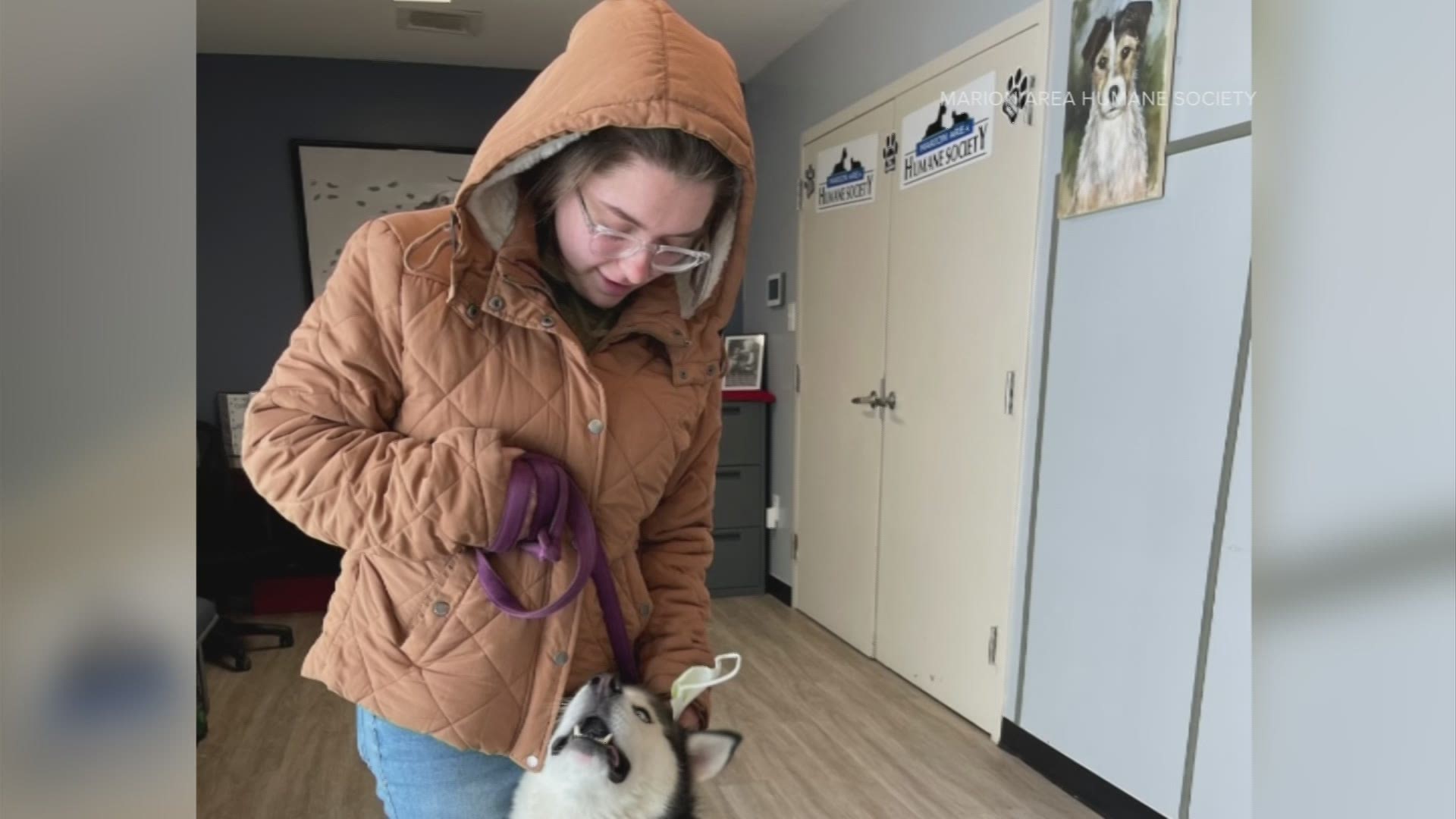 Emily volunteered to drive through the snow at 8 p.m. to ensure she would be there to take care of the animals at the Marion Area Humane Society.