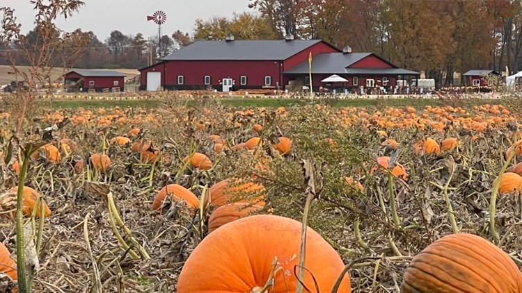 Pumpkin, Apple Farms In Central Ohio | 10tv.com