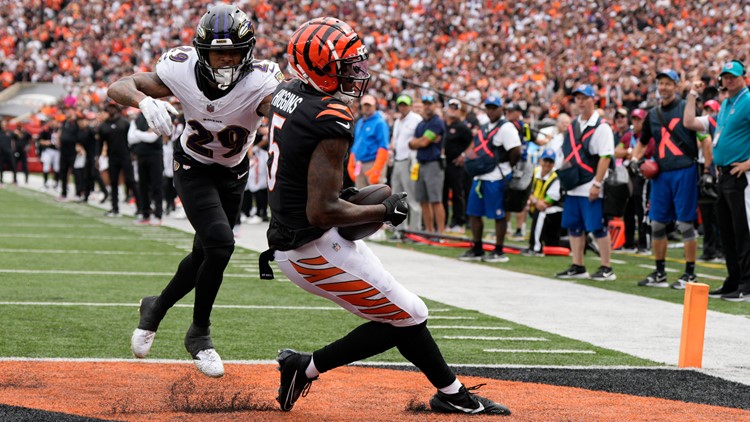 Cincinnati Bengals fall to Baltimore Ravens 24-27