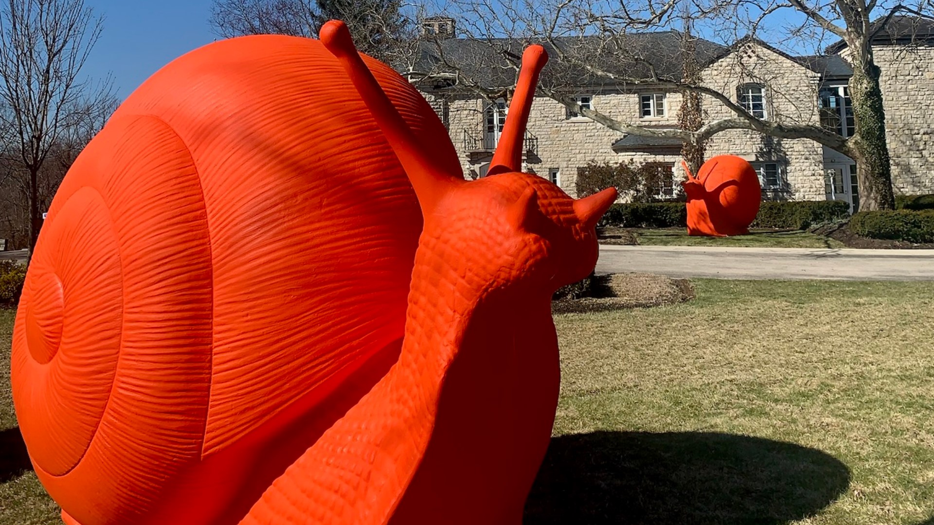 Those interested in seeing the giant snails can visit them on the front lawn of the Dublin Arts Council at 7125 Riverside Dr. in Dublin.