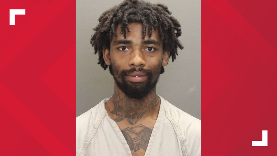 Man indicted in fatal hit-and-run of 4-year-old boy involving stolen Kia - Vimarsana News