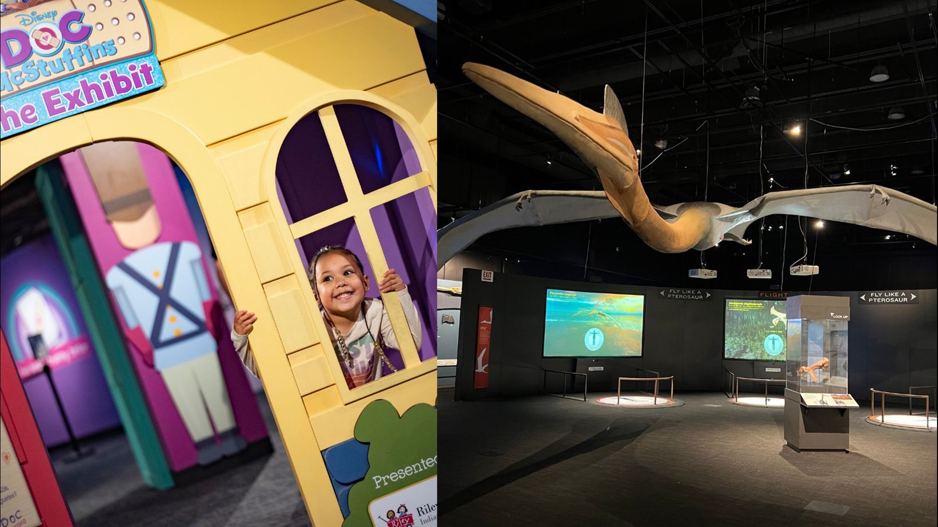 COSI has added three new stops for guests: a Doc McStuffins exhibit, "Pterosaurs: Flight in the Age" and a new digital aquarium in the "Ocean" exhibit.