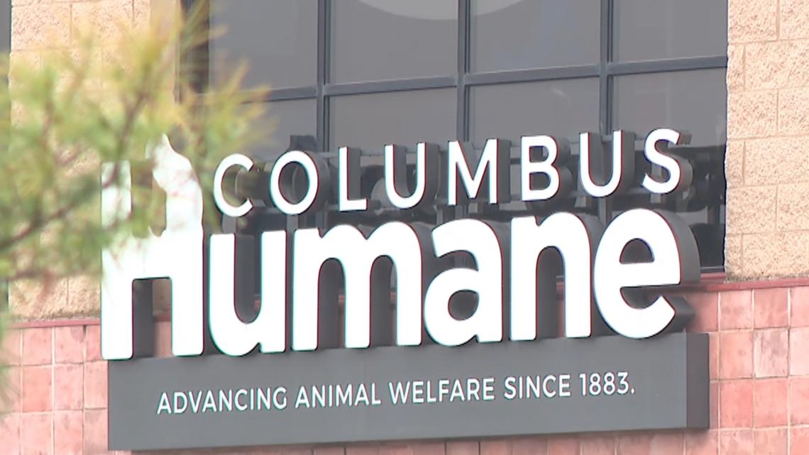 Columbus Humane lays off 9 employees from 72-person staff