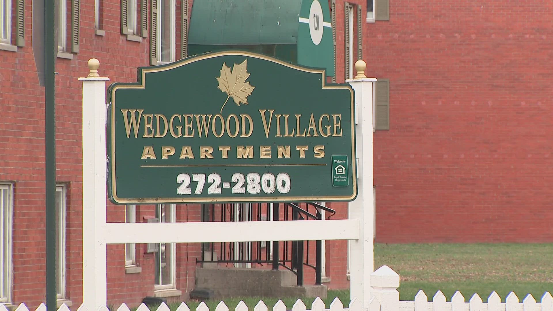 A Wedgewood resident reported they have issues with mice, cockroaches and bed bugs. On top of that, they went days without hot water.