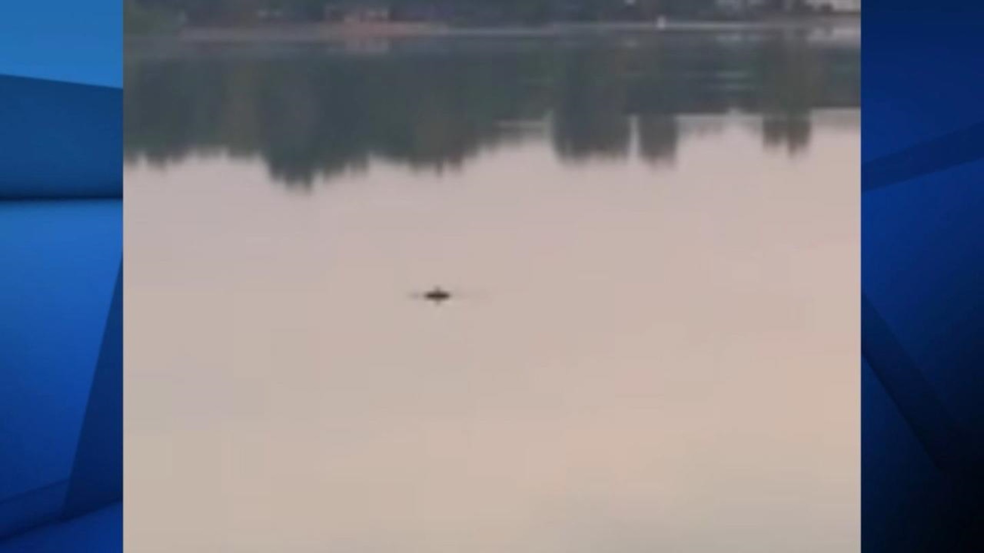 Mystery At Buckeye Lake: Was An Alligator Really Spotted In The Water?