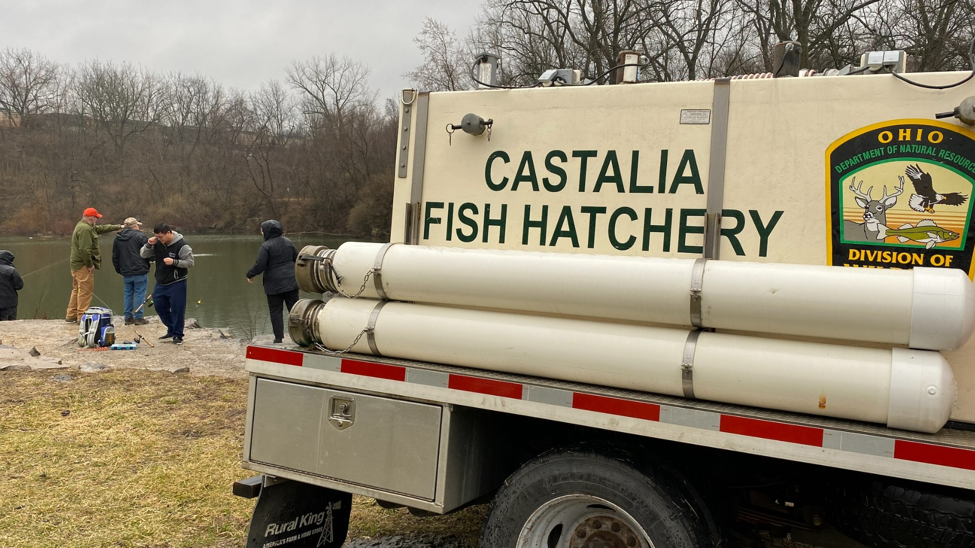 Approximately 84,000 rainbow trout will be released in 88 lakes and ponds in Ohio.