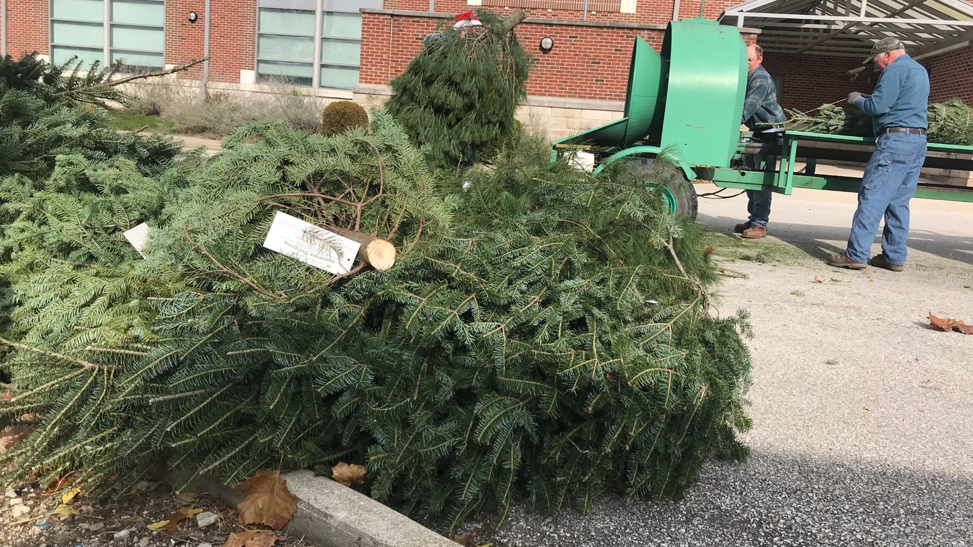 As the holidays begin to wrap up, some central Ohioans may be wondering what to do with the Christmas tree still sitting in their living room.