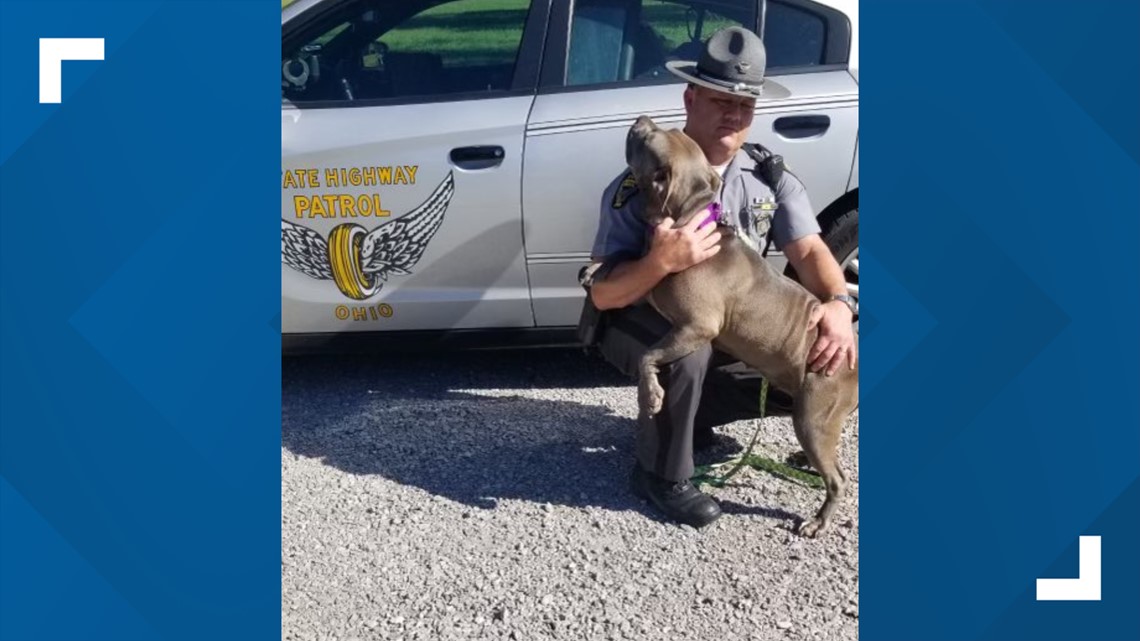 Ohio trooper adopts stray dog