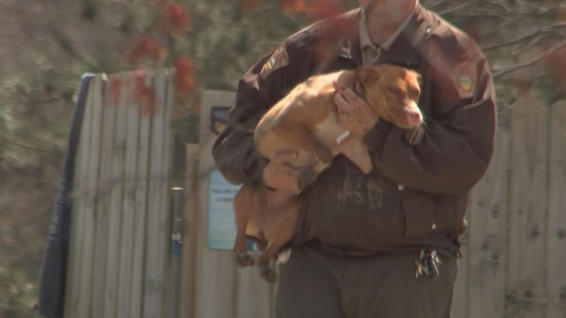 Man charged after reported animal cruelty in Delaware County - Vimarsana News