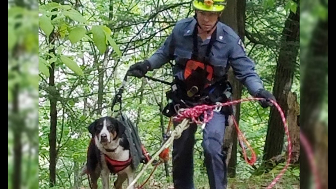 Dog stuck on 400foot cliff rescued by cop using ropes