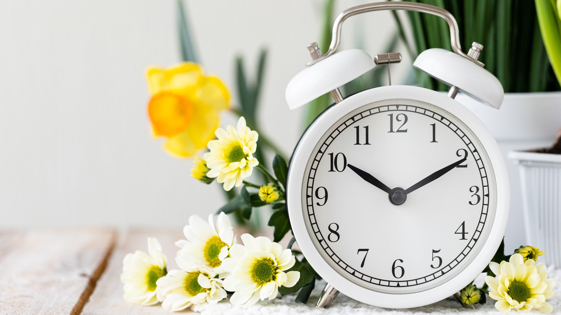 Whether springing forward or falling back, there is a growing push to stop the biannual clock change.