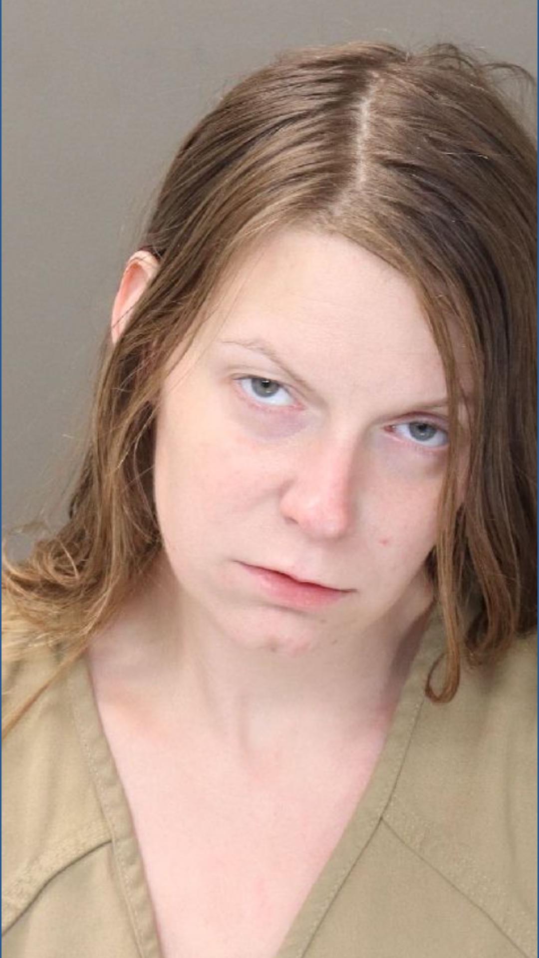 Court records: Woman charged with aggravated vehicular homicide after ...