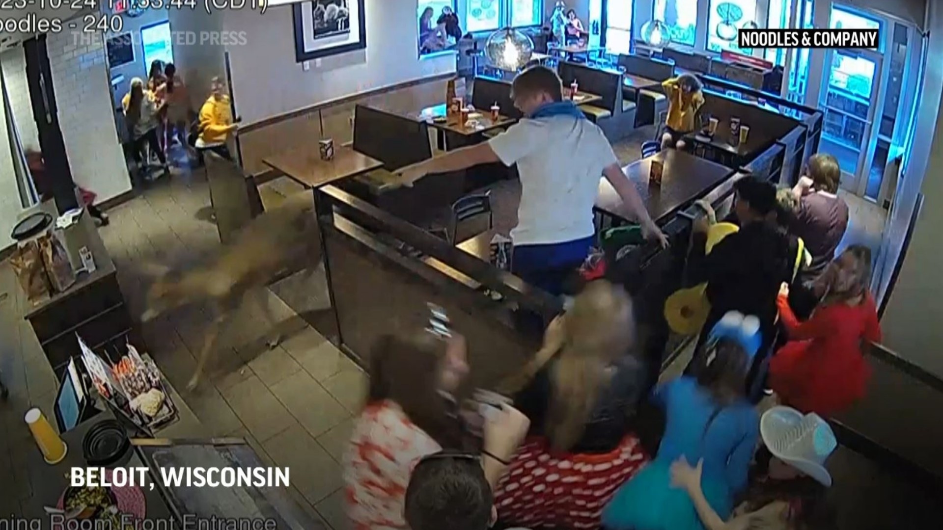 Surveillance footage shows a deer charging into the crowded restaurant around lunchtime, prompting diners to scatter.