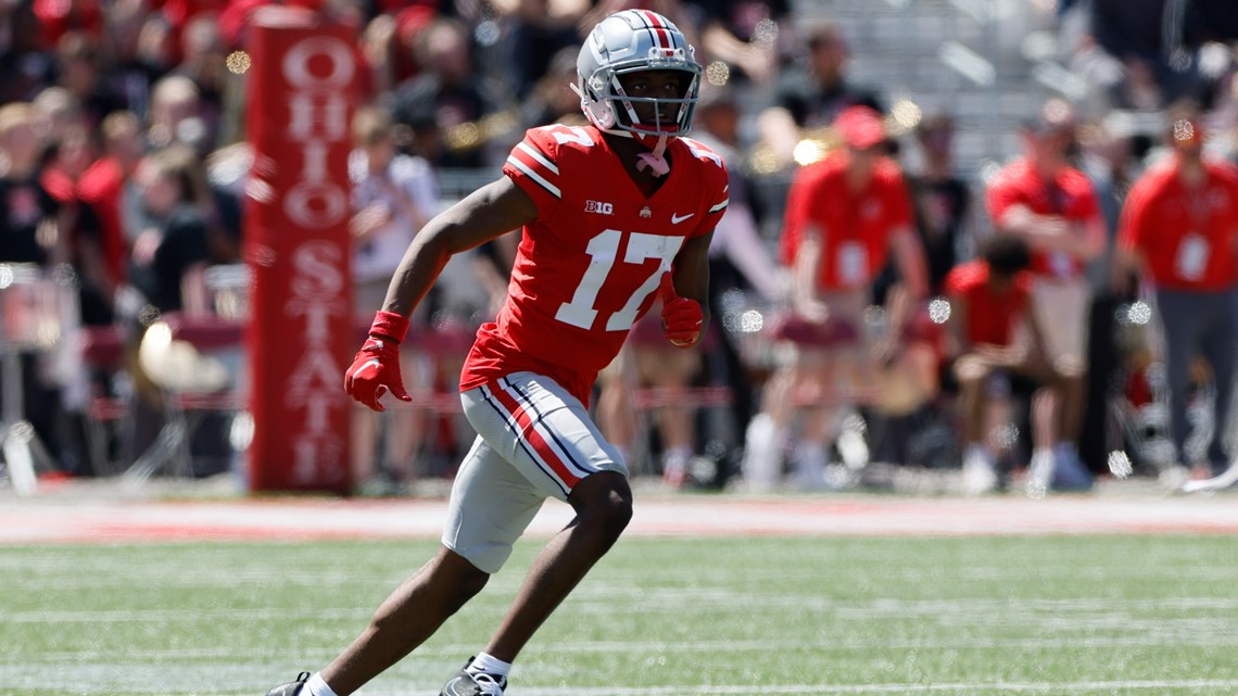 Report: Mother of OSU freshman wide receiver killed in Chicago | 10tv.com