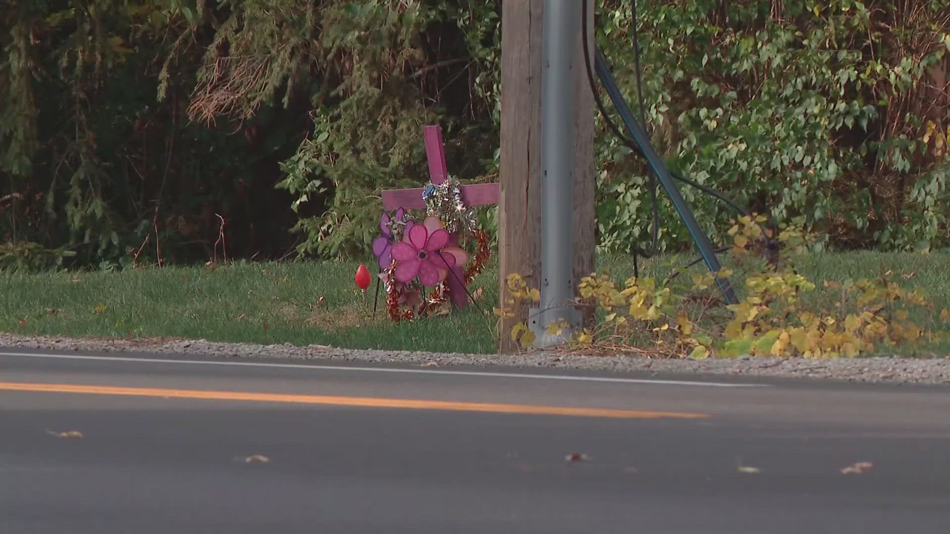 A crosswalk with flashing lights is on Westerville Road where the girl was struck, but neighbors say it's not enough.