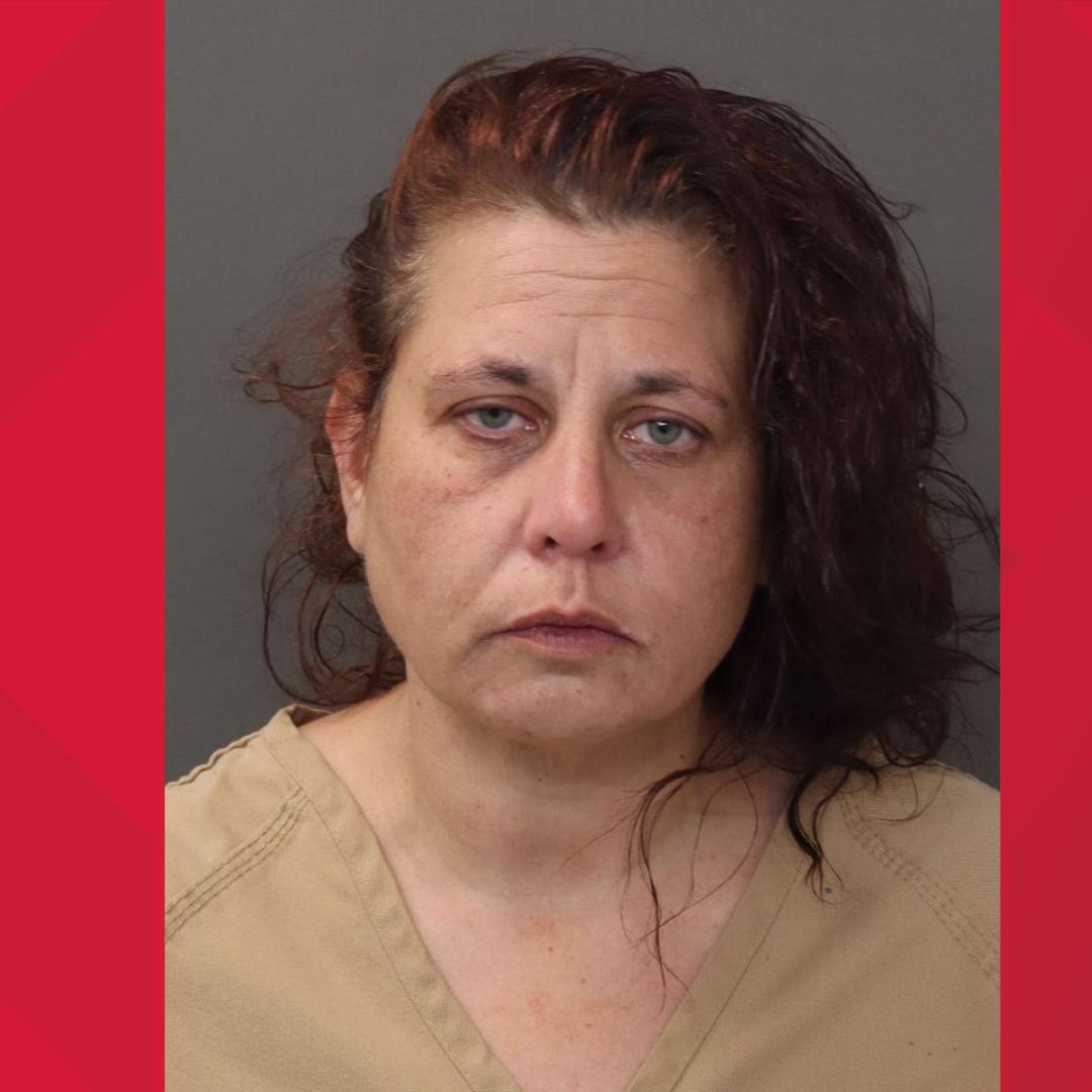 51-year-old woman charged with arson after Hilliard house fire | 10tv.com