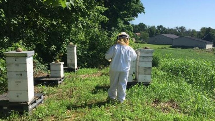 Owner of honey farm in East Palestine worried about future sales