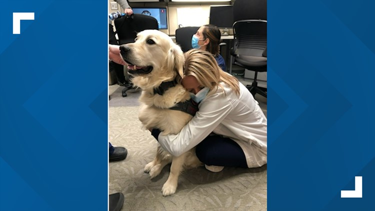 The power of the paw: Ohio State dog therapy program helping ease stress