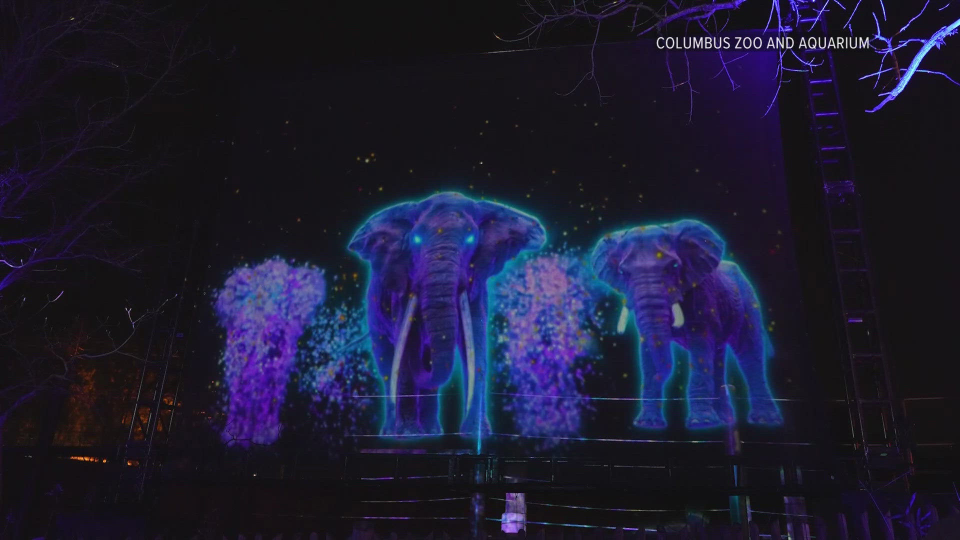 Columbus Zoo Unextinct exhibit open for 2 more weeks | 10tv.com