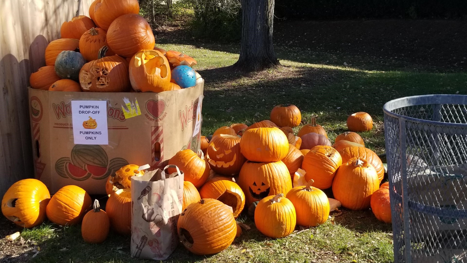 Central Ohio towns are helping the environment by providing pumpkin collection sites to compost your rotting jack-o’- lanterns.