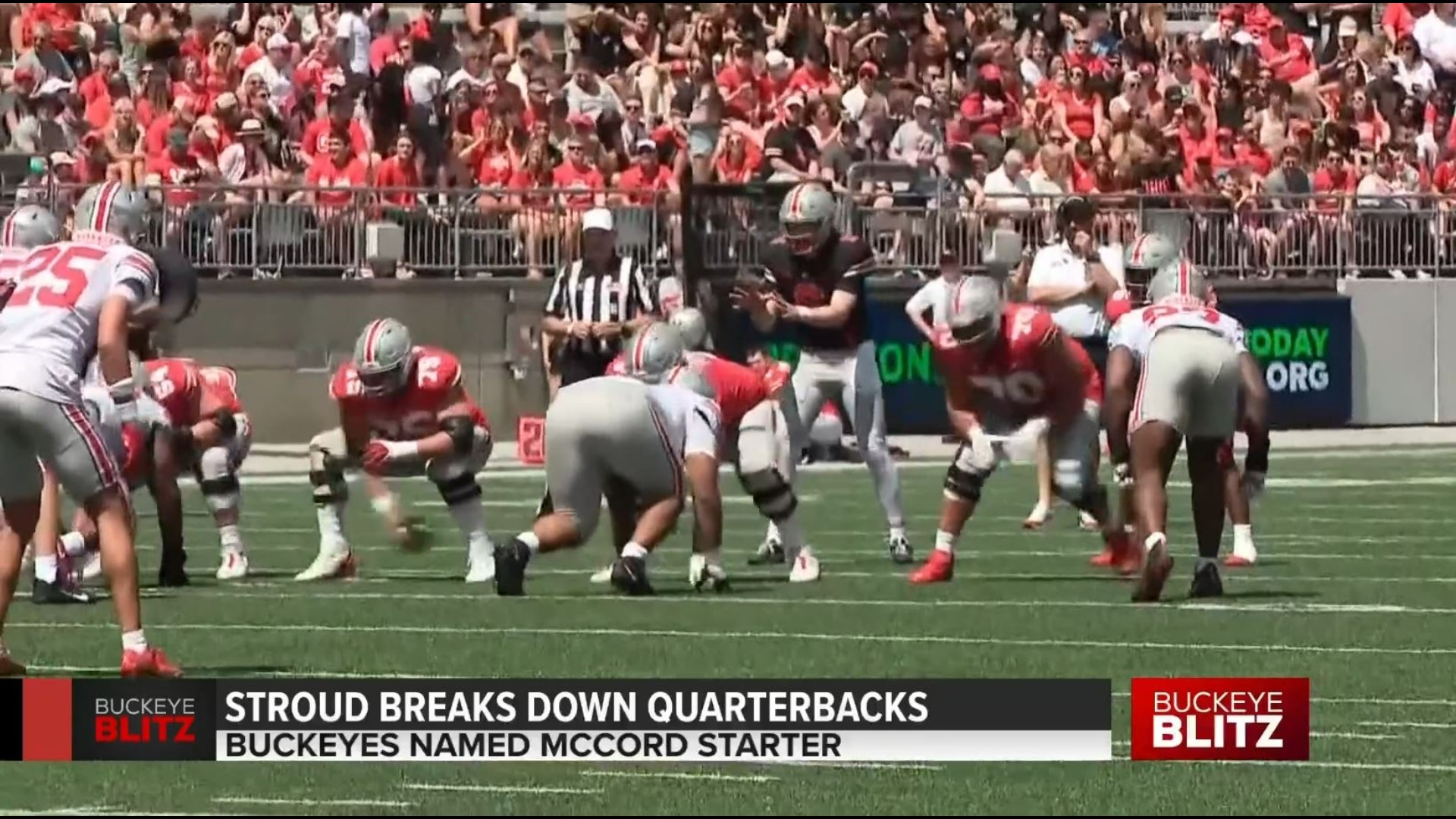 Former Ohio State quarterback C.J. Stroud breaks down this years QB battle between Kyle McCord and Devin Brown.