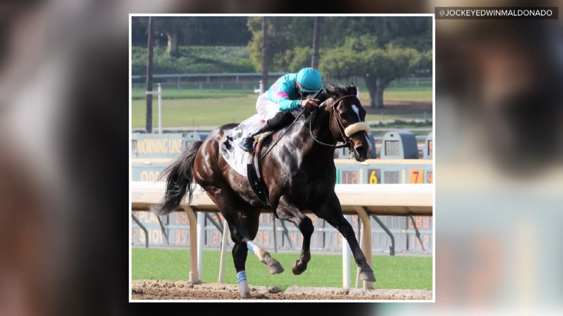 After 25 years, Edwin Maldonado found himself with the right horse at the right time. He describes it, simply and wit...