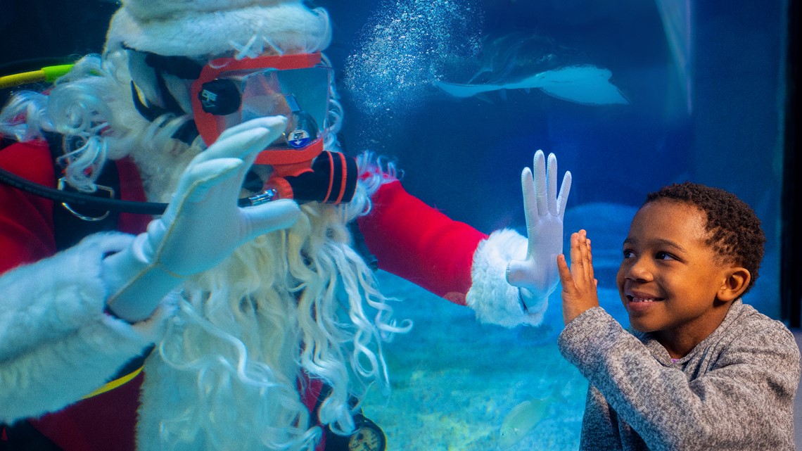 Scuba santa making an appearance at newport aquarium 10tv