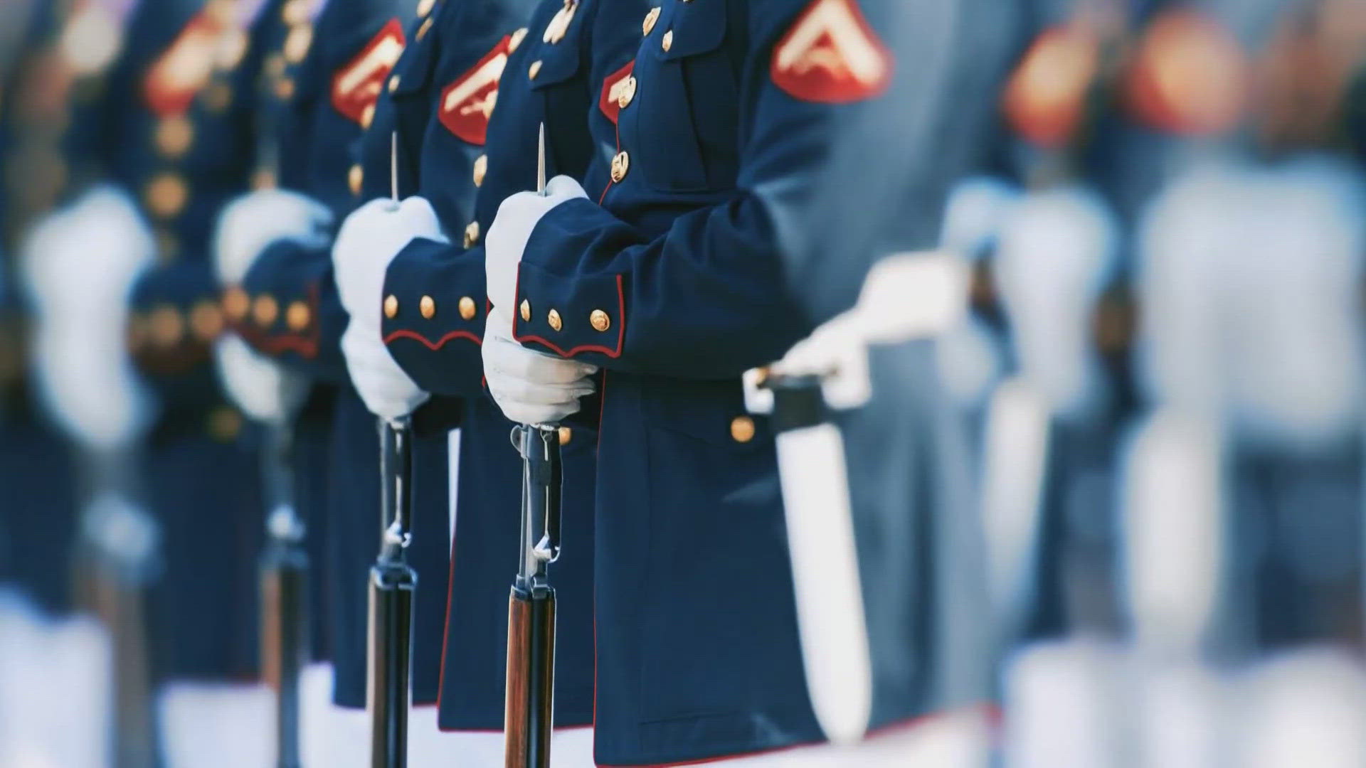 Veterans Day is always observed on Nov. 11 each year and is a time for the country to recognize and honor America’s veterans.