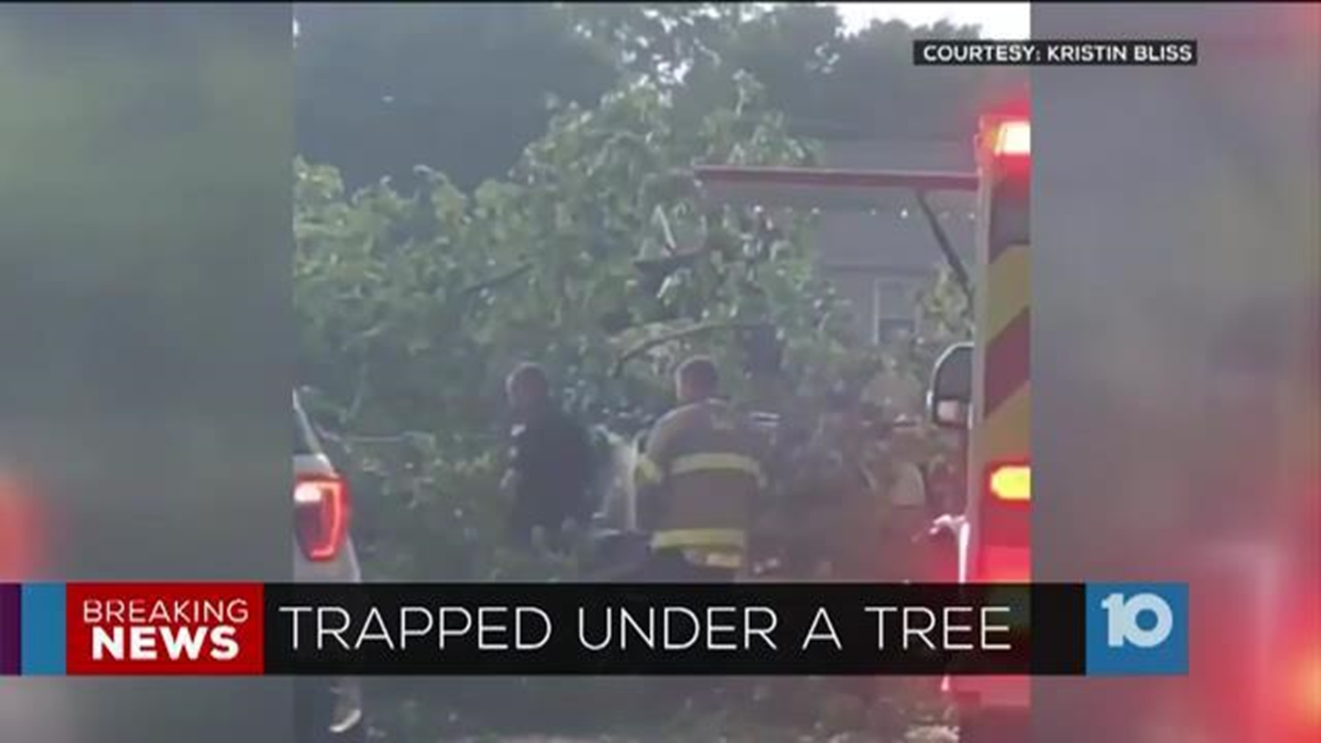 Man seriously injured after tree falls on vehicle during storm in ...