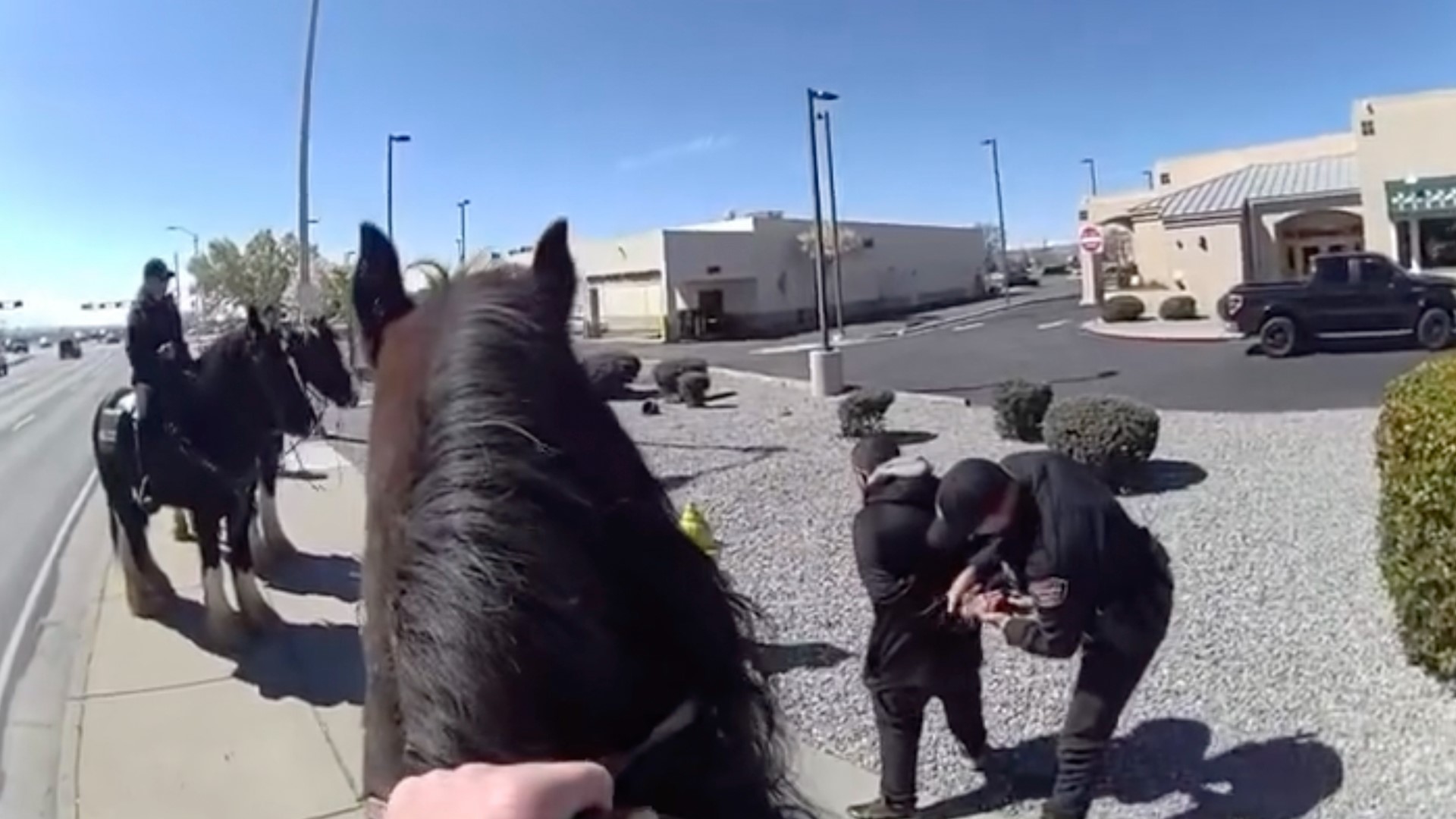 Albuquerque police bodycam video shows a dark-brown horse trotting through a parking lot behind a man in black clothing.