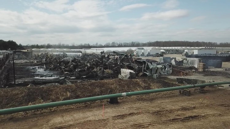Drone video shows aftermath of fire at Timbuk Farms