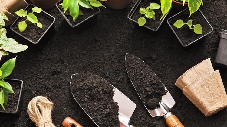 Lowe's is giving away free gardening kits in April, here's how to sign up