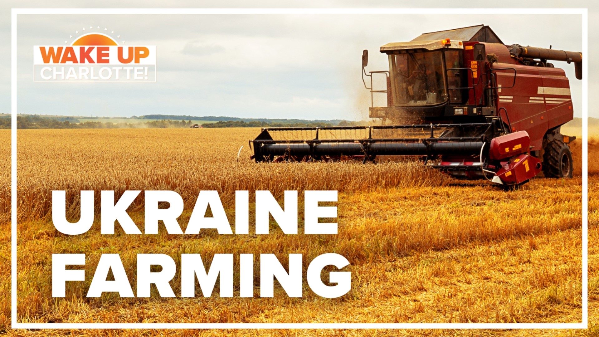 Right now, Russia is blocking seaports in Ukraine, choking off the country's supply of grain to the rest of the world.
