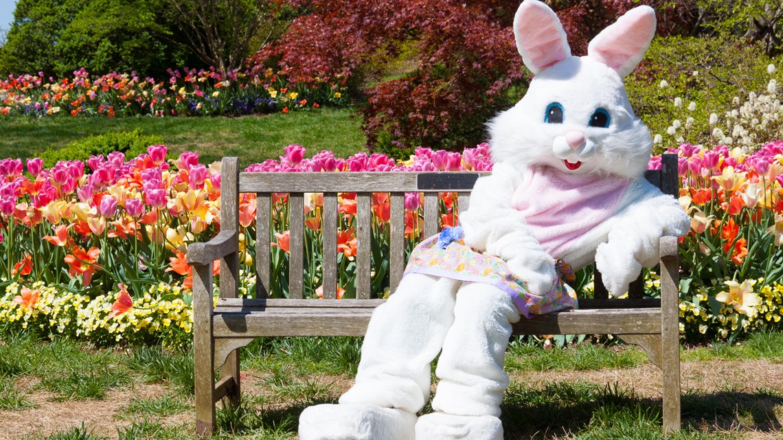 Dates announced for Easter Bunny at local malls