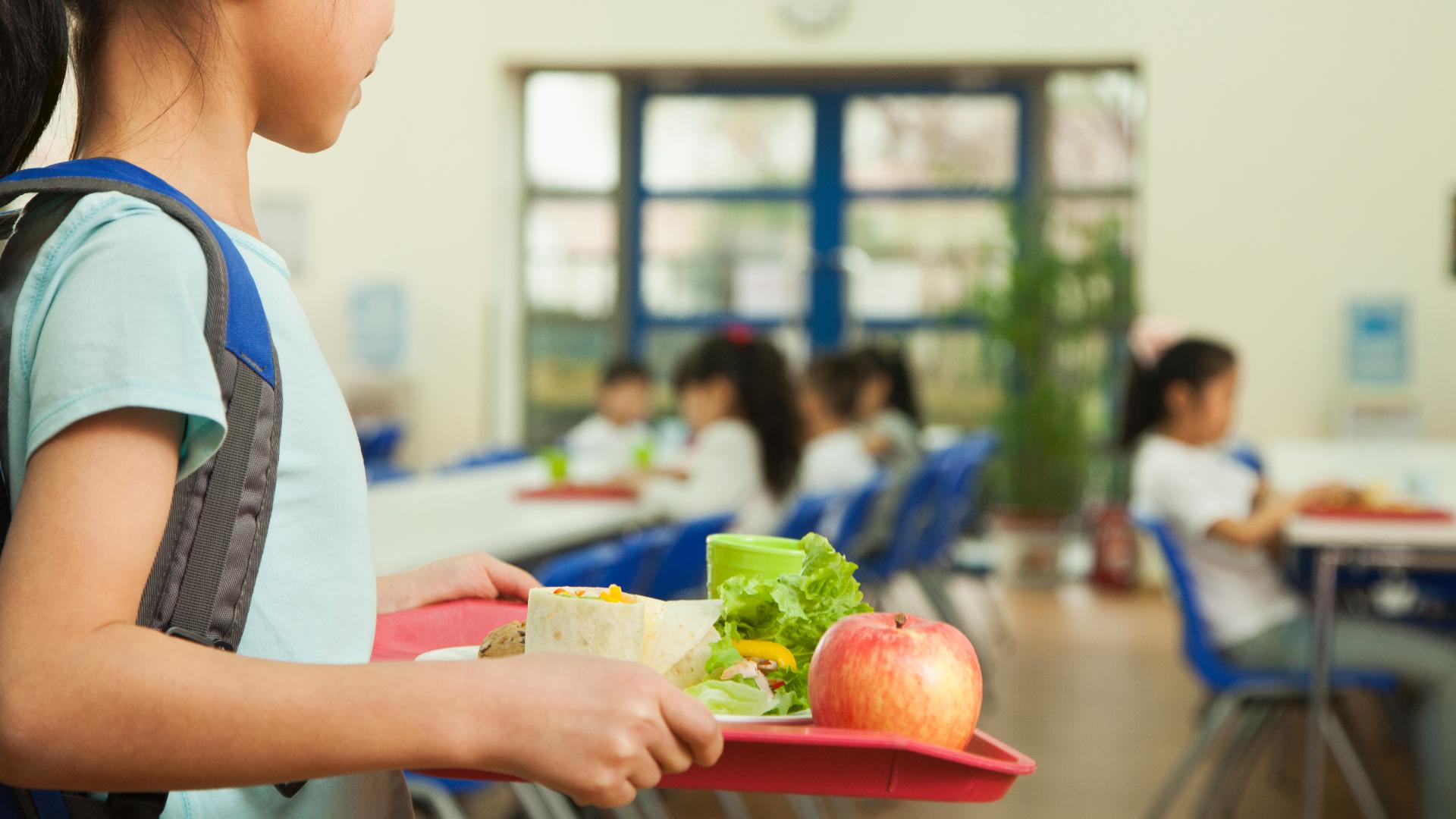 Iowa governor announces new $900K summer meal grant program 