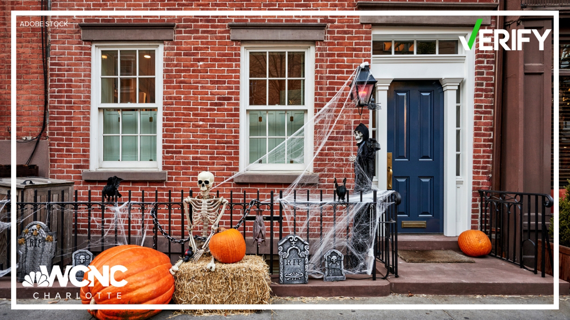 Halloween comes with an arrangement of various decorations, but some people on social media are asking if fake spiderwebs can cause issues for wildlife.