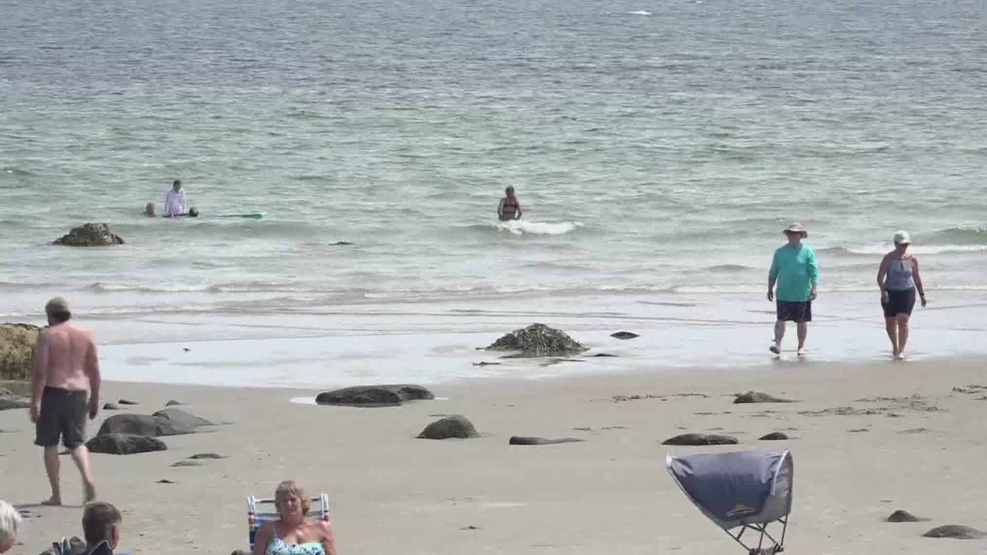 Wells Police announced on Twitter Saturday that all beaches were open today without swimming restrictions since there have been no new shark sightings.